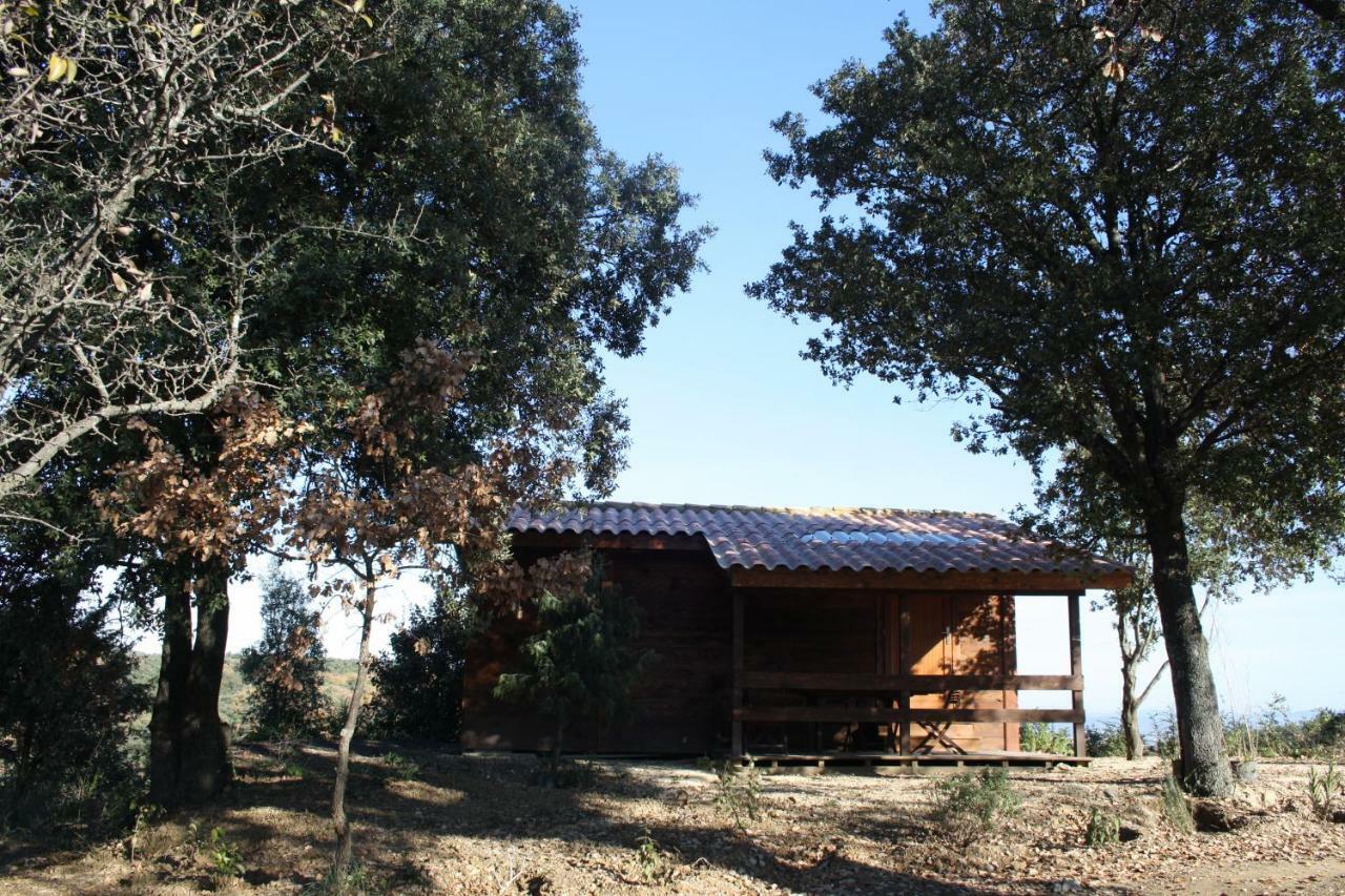 Les Chalets En Cevennes Saint-Christol-les-Ales Ngoại thất bức ảnh